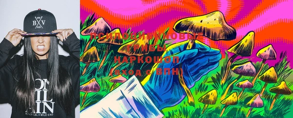 не бодяженный Медногорск