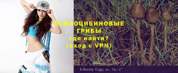 спиды Медвежьегорск