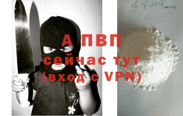 спиды Медвежьегорск